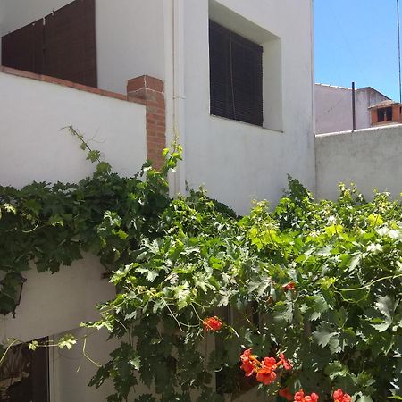 El Regocijo Oliva de la Frontera Exterior foto