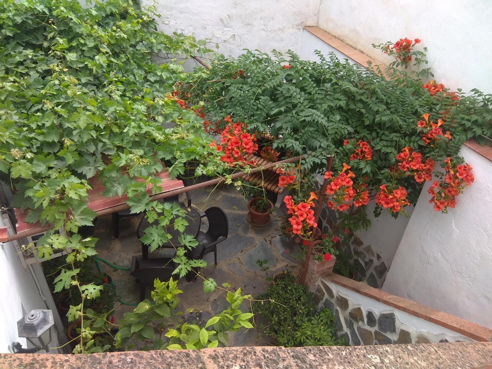 El Regocijo Oliva de la Frontera Exterior foto